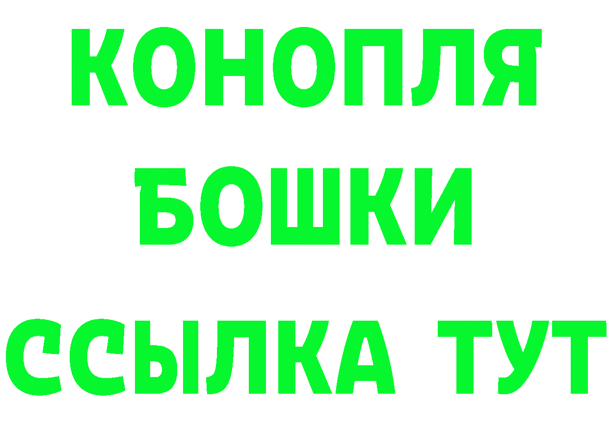 Альфа ПВП СК маркетплейс маркетплейс OMG Партизанск